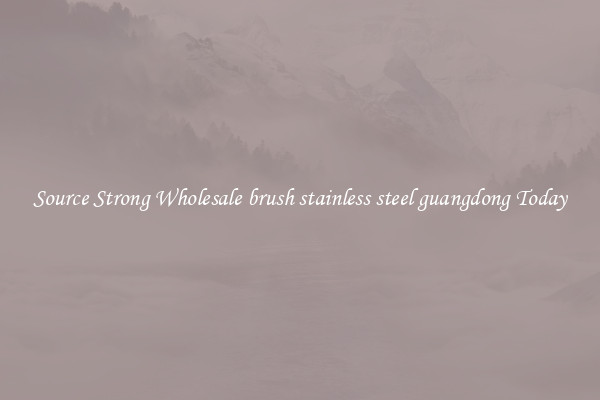 Source Strong Wholesale brush stainless steel guangdong Today