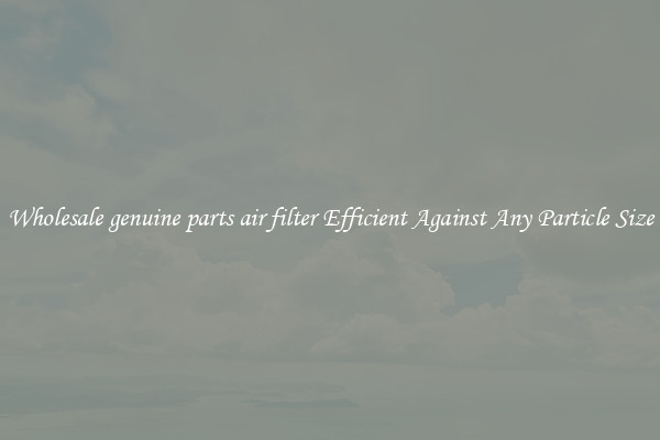 Wholesale genuine parts air filter Efficient Against Any Particle Size