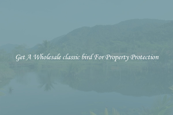 Get A Wholesale classic bird For Property Protection