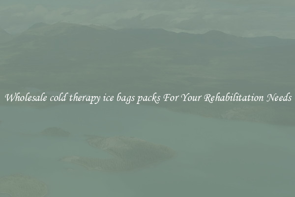 Wholesale cold therapy ice bags packs For Your Rehabilitation Needs