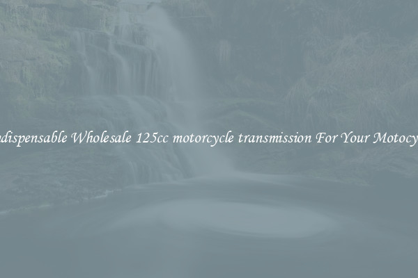 Indispensable Wholesale 125cc motorcycle transmission For Your Motocycle