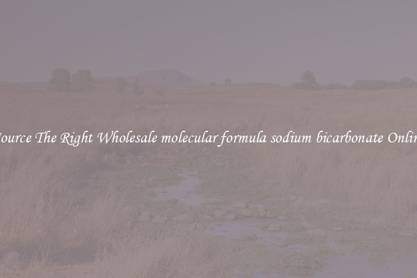 Source The Right Wholesale molecular formula sodium bicarbonate Online