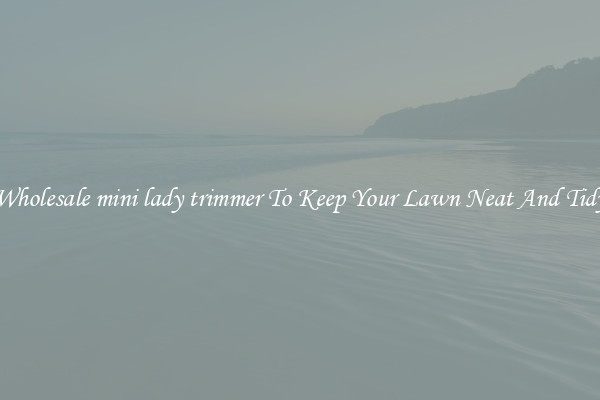 Wholesale mini lady trimmer To Keep Your Lawn Neat And Tidy