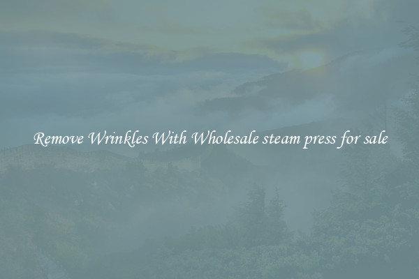 Remove Wrinkles With Wholesale steam press for sale