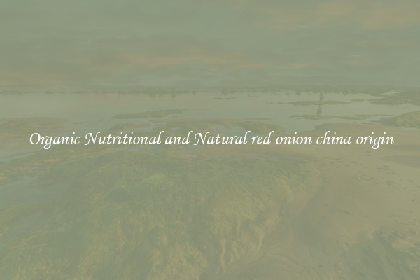 Organic Nutritional and Natural red onion china origin