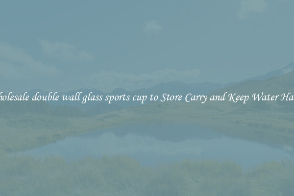 Wholesale double wall glass sports cup to Store Carry and Keep Water Handy