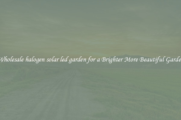 Wholesale halogen solar led garden for a Brighter More Beautiful Garden