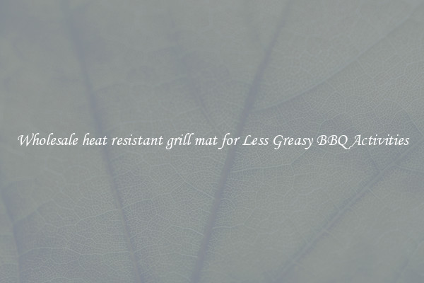 Wholesale heat resistant grill mat for Less Greasy BBQ Activities