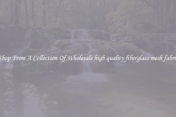 Shop From A Collection Of Wholesale high quality fiberglass mesh fabric
