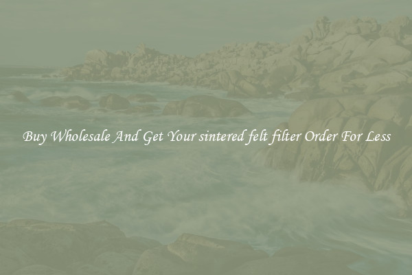 Buy Wholesale And Get Your sintered felt filter Order For Less