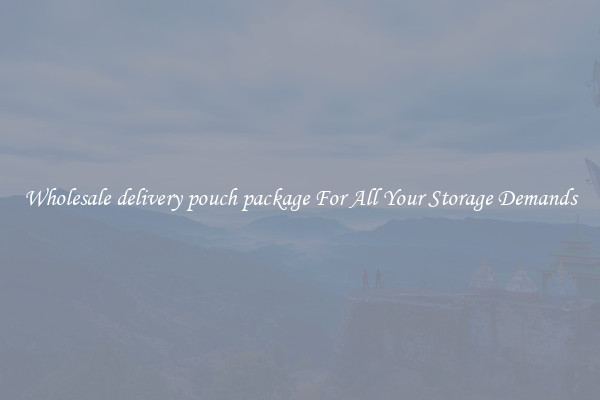 Wholesale delivery pouch package For All Your Storage Demands