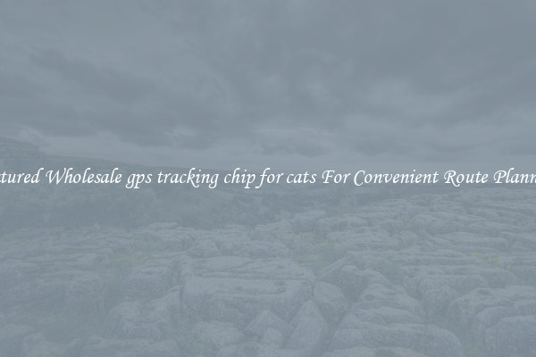 Featured Wholesale gps tracking chip for cats For Convenient Route Planning 