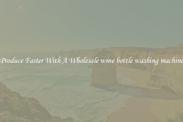 Produce Faster With A Wholesale wine bottle washing machine