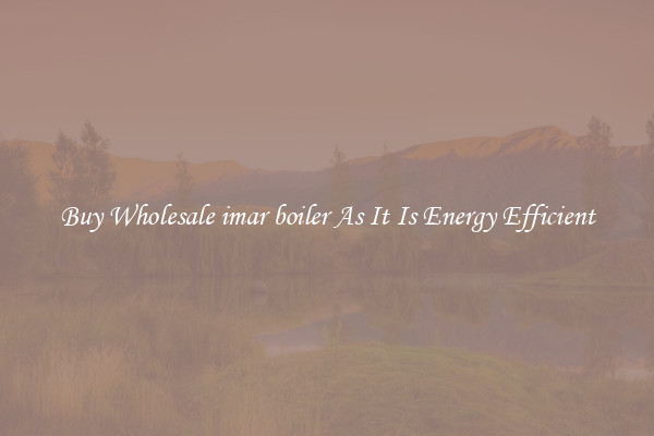 Buy Wholesale imar boiler As It Is Energy Efficient