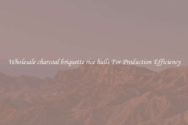 Wholesale charcoal briquette rice hulls For Production Efficiency