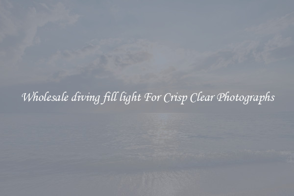 Wholesale diving fill light For Crisp Clear Photographs