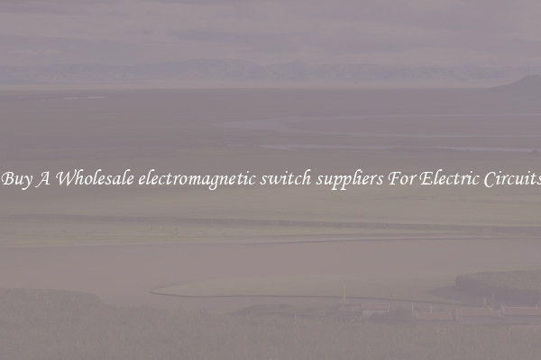 Buy A Wholesale electromagnetic switch suppliers For Electric Circuits
