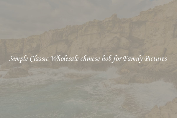 Simple Classic Wholesale chinese hob for Family Pictures 