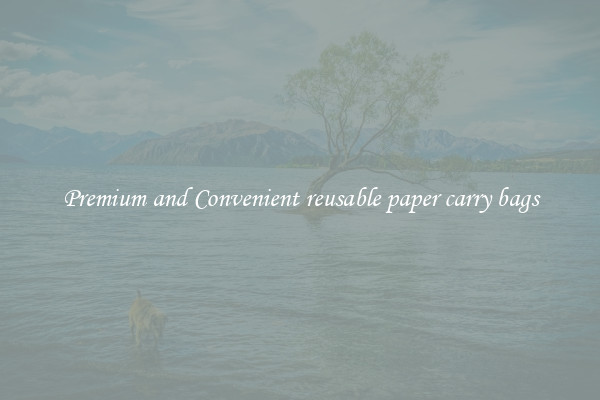 Premium and Convenient reusable paper carry bags